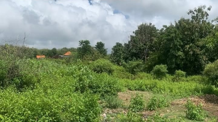 Ideal Shape Freehold Land in Jimbaran Area