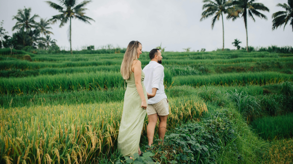 Desa di Bali villas surrounded by Ubud rice fields and natural village landscapes