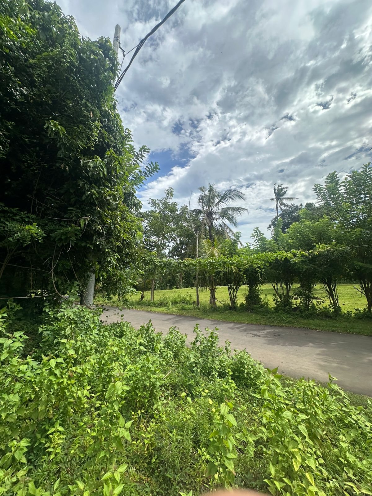 Prime Tourism Land for Sale – 3 Minutes to Virgin Beach, Karangasem | 1,000 m²