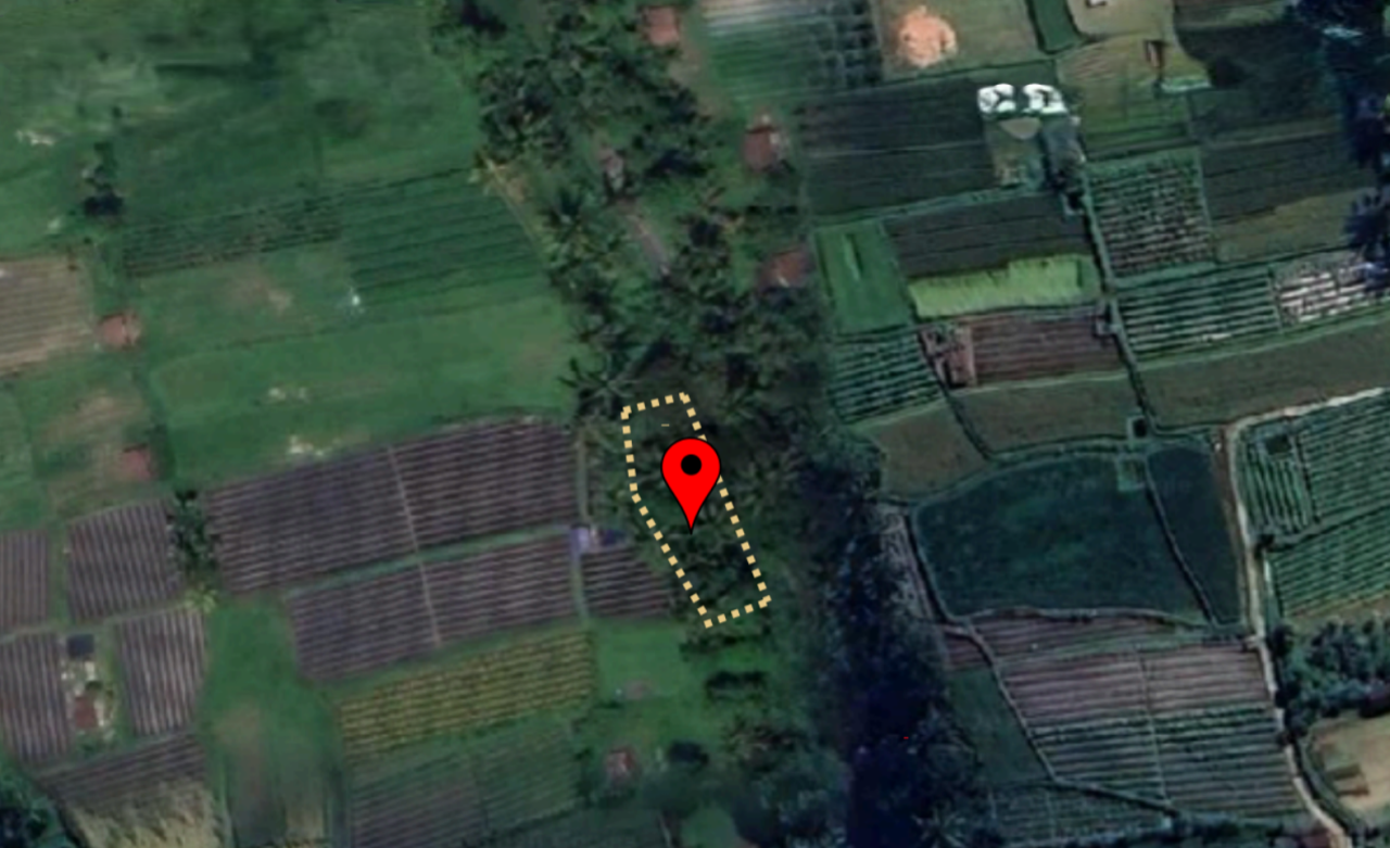 Land for Sale in Tabanan