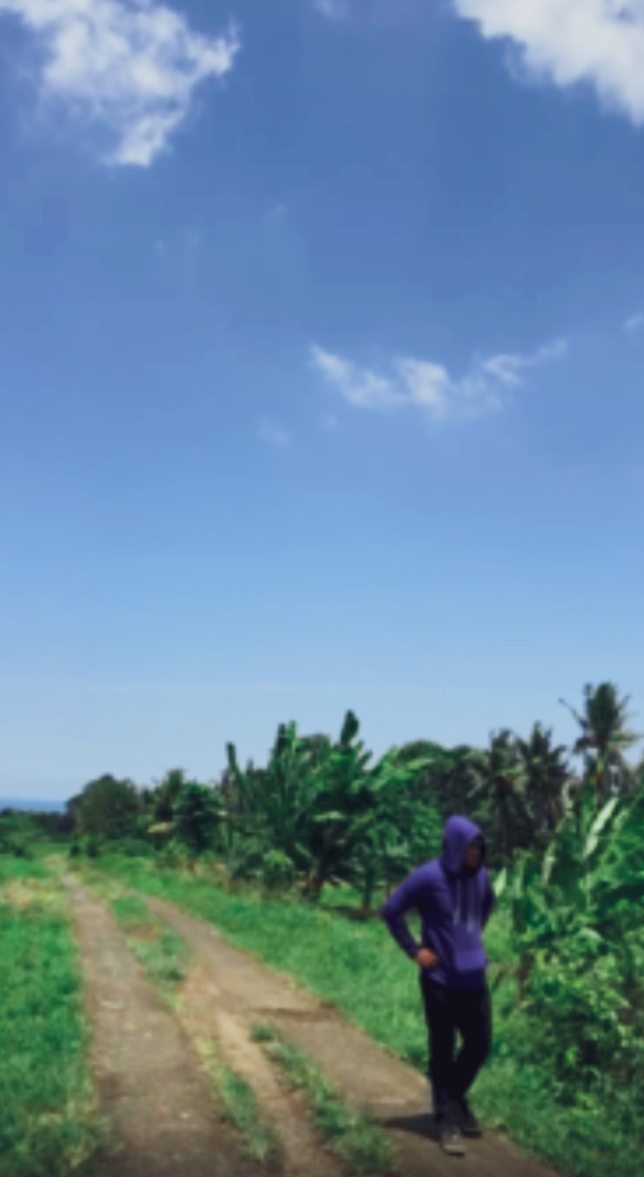 BEAUTIFUL LAND FOR SALE – ANTOSARI, SELEMADEG, TABAN (RICE FIELD & MOUNTAIN VIEW) – Freehold