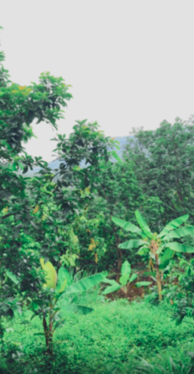 SUPER VALUE LAND FOR SALE – MADENAN, TEJAKULA (OCEAN & MOUNTAIN VIEW) – Freehold