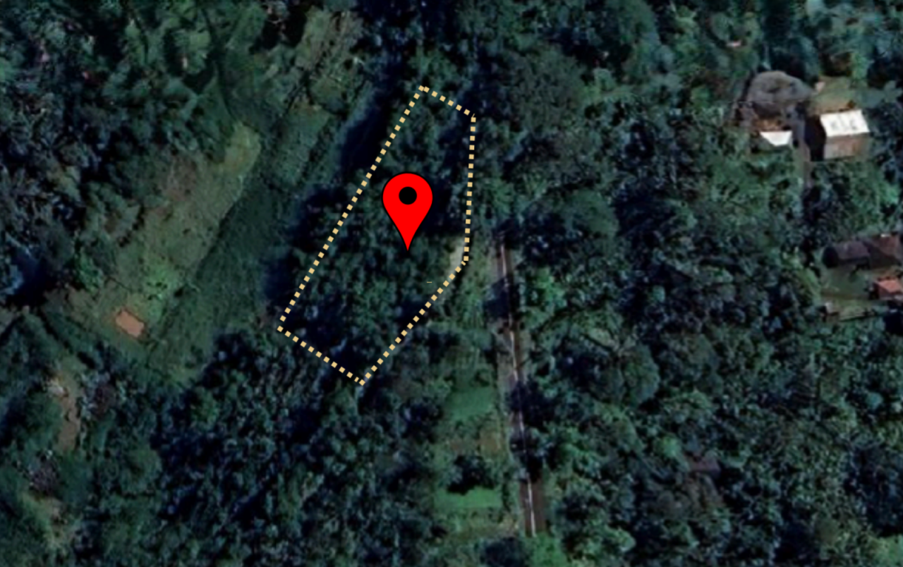 Spacious Land for Sale in Karangasem