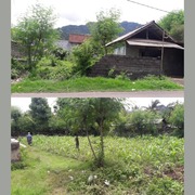 UNIQUE INVESTMENT OPPORTUNITY – SWIFTLET HOUSE & LAND FOR SALE IN SANGGALANGIT, SINGARAJA