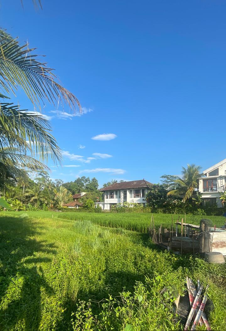 Prime Leasehold Residential Land in Ubud