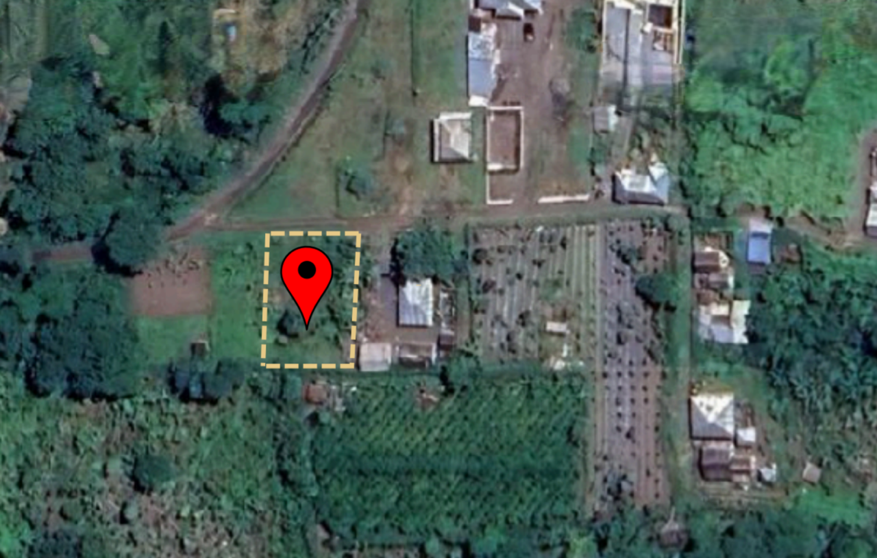 Potential Development Land for Sale in Kintamani