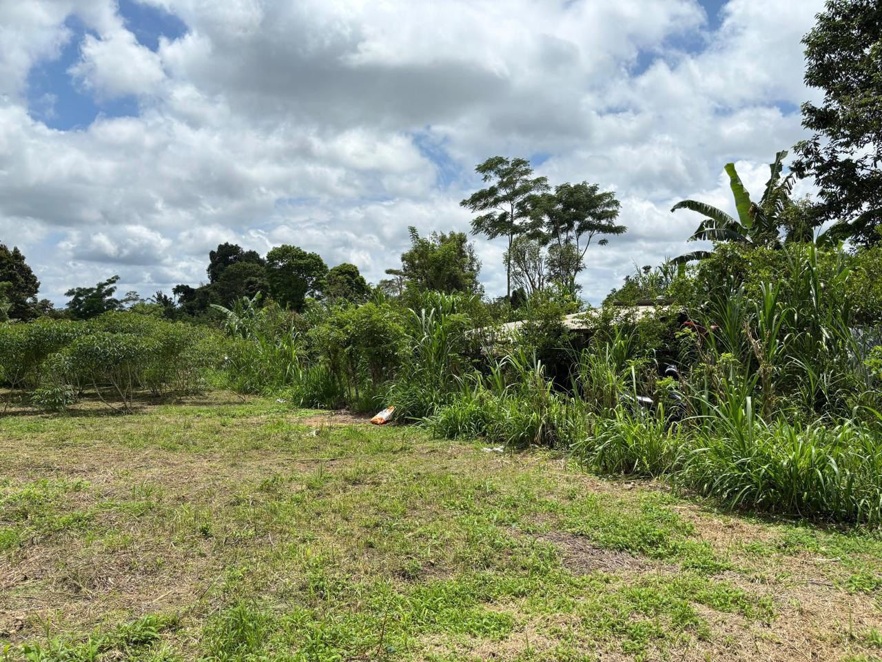 HIGH-POTENTIAL LAND FOR SALE IN UBUD