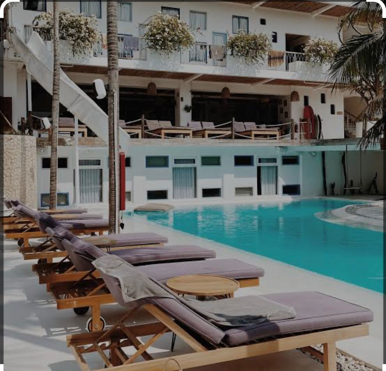 Rare Hospitality Investment in Canggu Batu Bolong — High-Performing Beachside Bar, Rooms & Lifestyle Business
