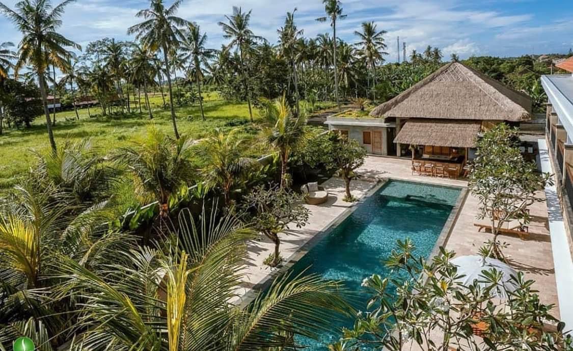 Rare Freehold Boutique Hotel for Sale in the Heart of Ubud — 28 Rooms, Fully Operational & High Performing
