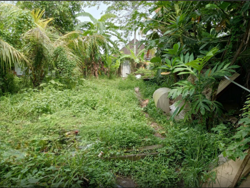 Prime Residential Land for Sale | Strategic Main Road Frontage – Mengwi, Bali