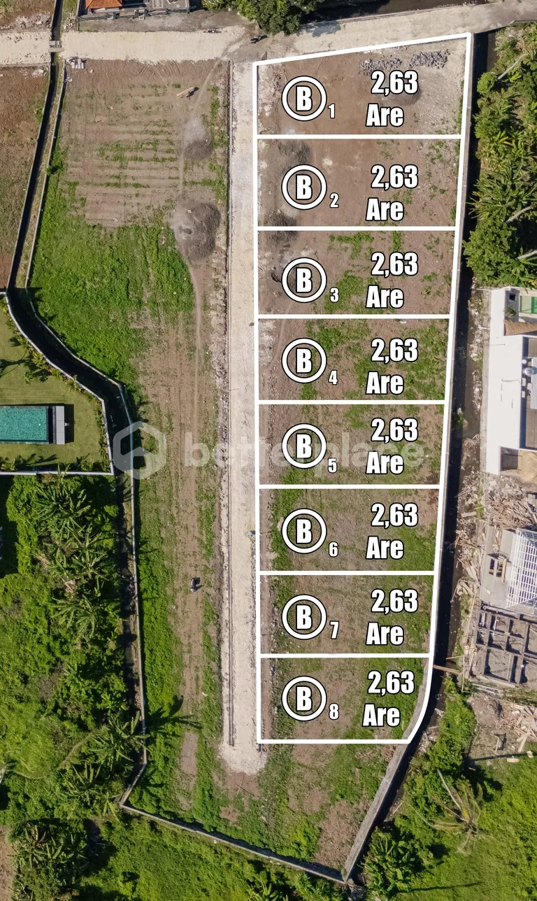 8 Plot Land Near Canggu – Block B of an 83 Are Land Leasehold Opportunity in Buduk