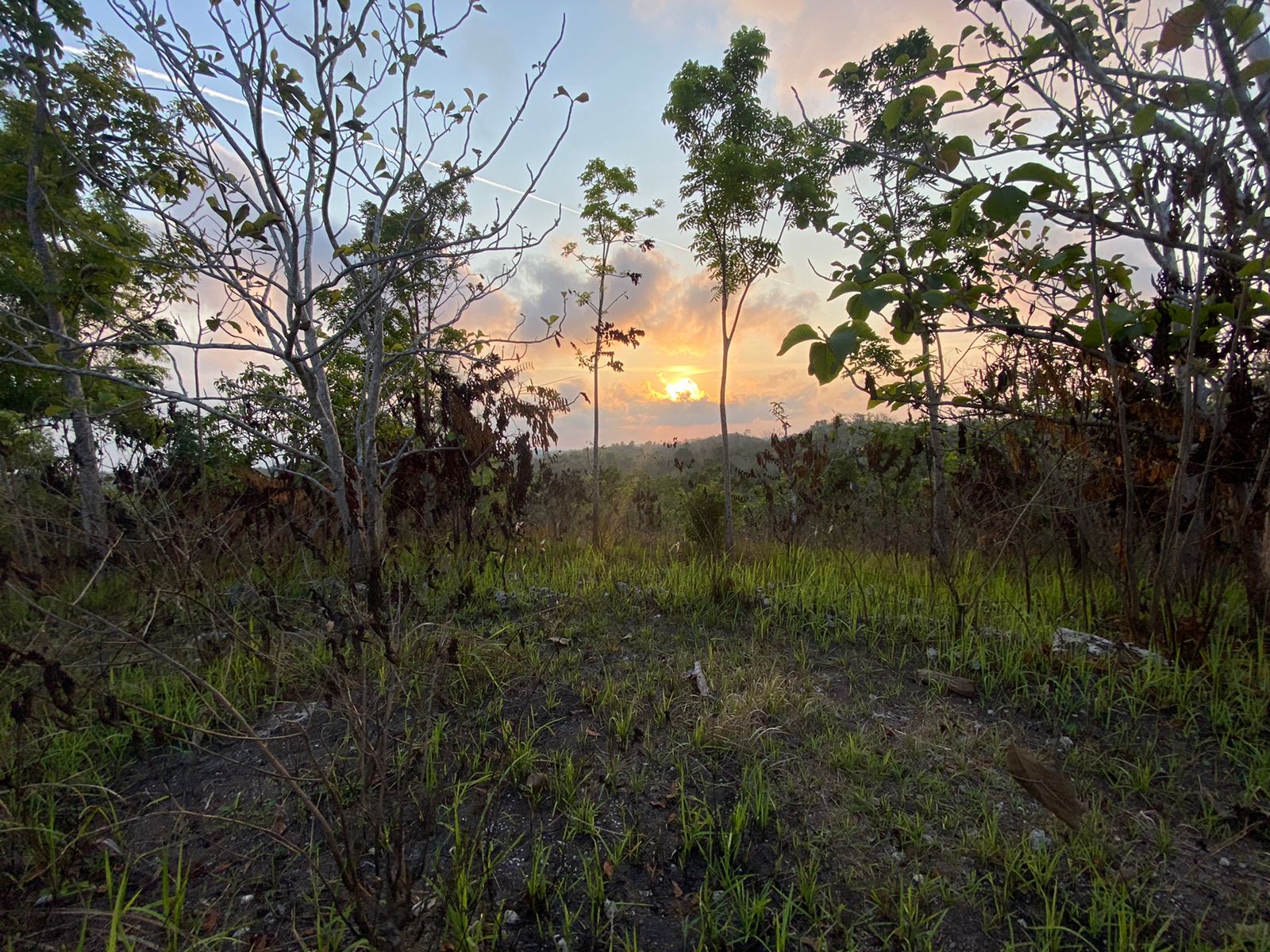104 Are Land For Sale In Nusa Penida