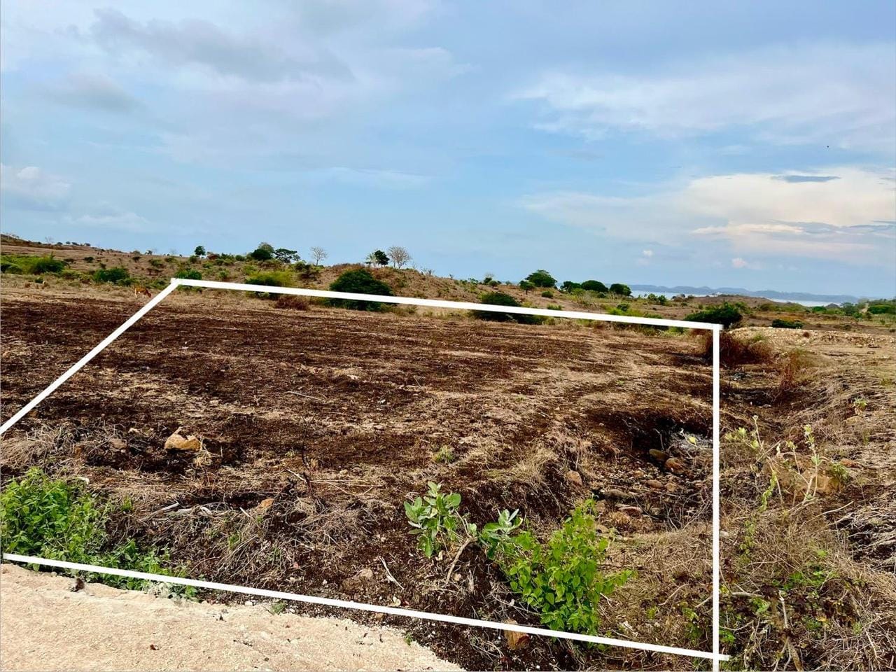 FOR SALE- LAHAN 1 HEKTAR OCEAN VIEW DEKAT DENGAN SIRKUIT MANDALIKA LOMBOK